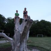  Sproing Pics (31/32)